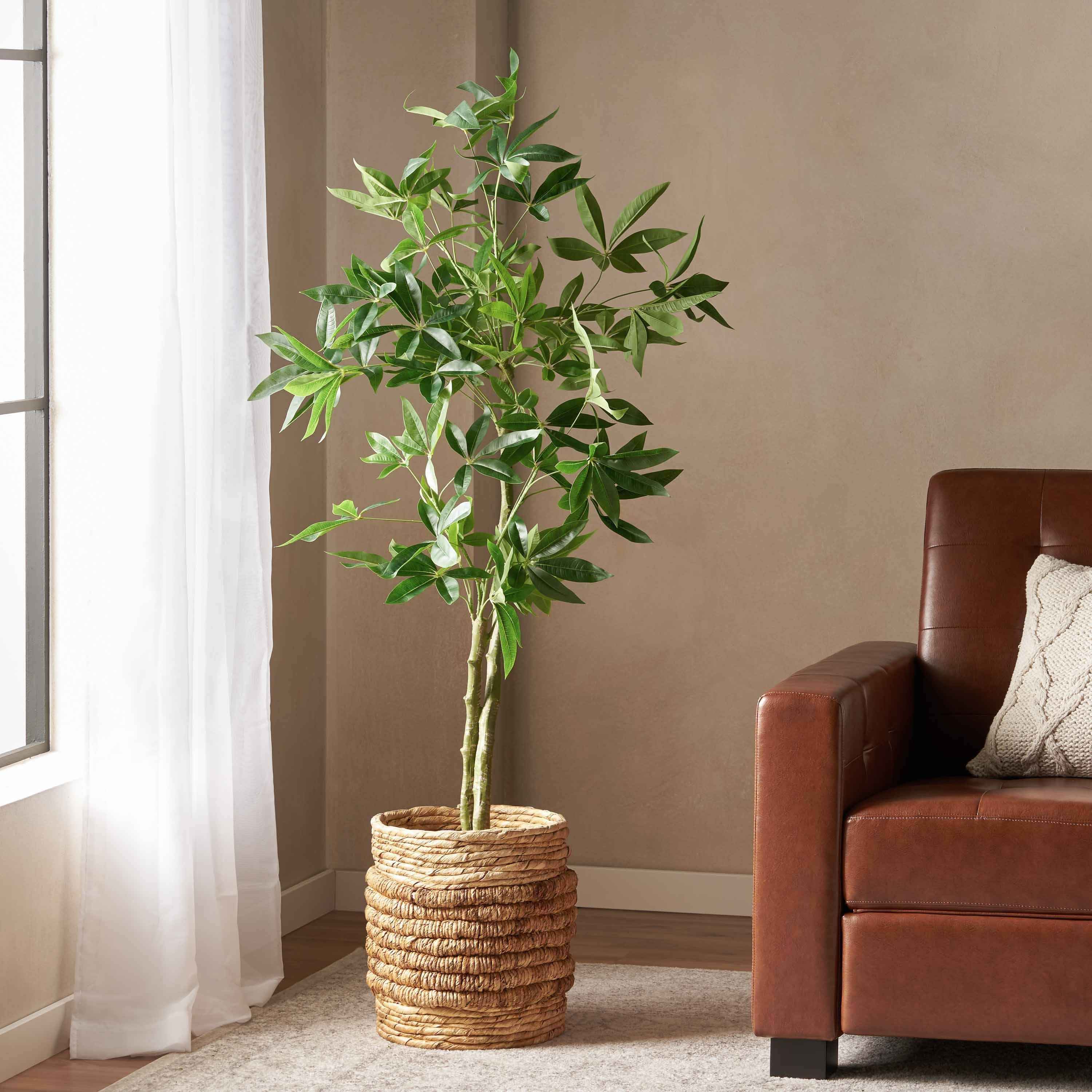 160CM ARTIFICIAL PACHIRA MACROCARPA